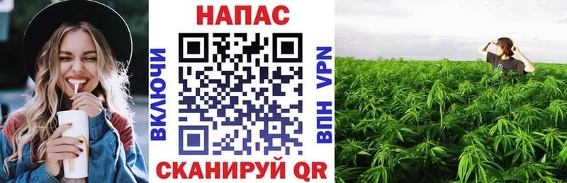 хочу   нарко площадка наркотические препараты  Шишки марихуана марихуана  Южа 